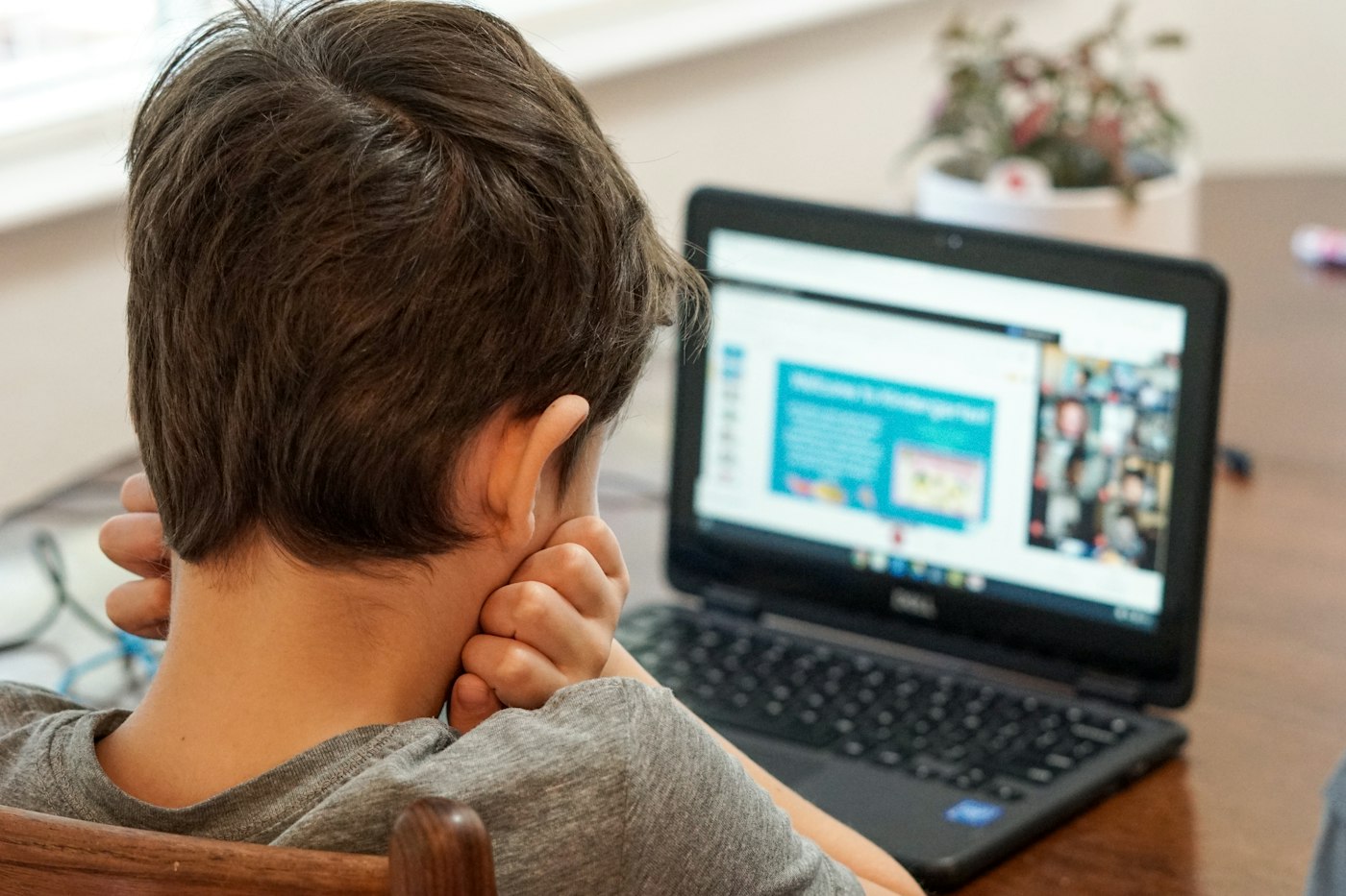 A boy in an online lesson with his tutor on screen